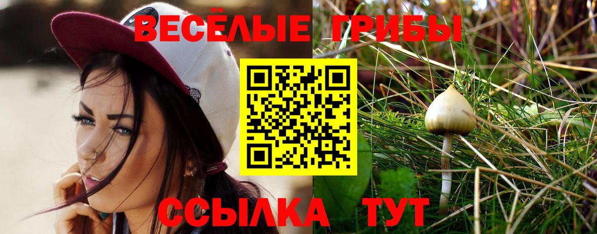 Мурманск  Псилоцибиновые грибы Psilocybe  Вход с VPN 