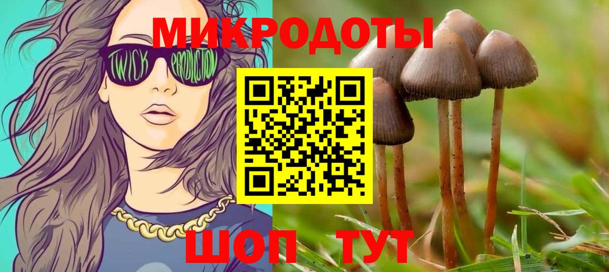 Галлюциногенные грибы мицелий Мурманск